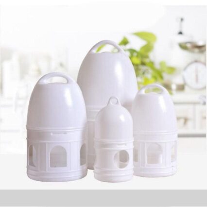 Pigeon Oasis: The Ultimate Hydration Station For Feathered Friends