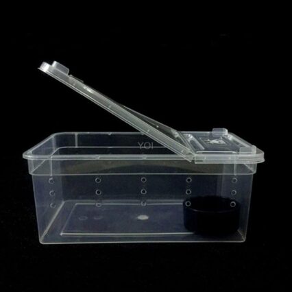 Transparent Reptile Haven: The Perfect Enclosure For Your Cold-Blooded Companions