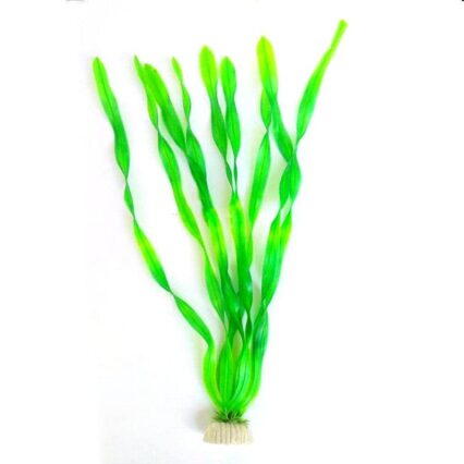 North American Aquarium Oasis: Vibrant Water Kelp Grass Collection