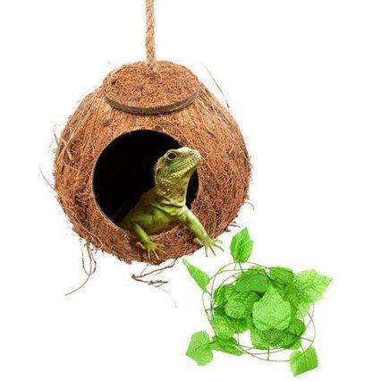 Reptile Adventure Set: Coconut Nest And Vine Climbing Kit