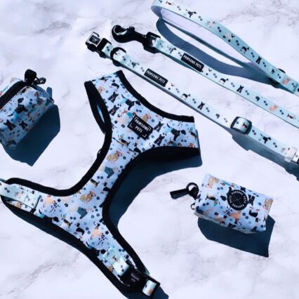 BUNDLE - DAPPER DOGGY (4 PIECES)