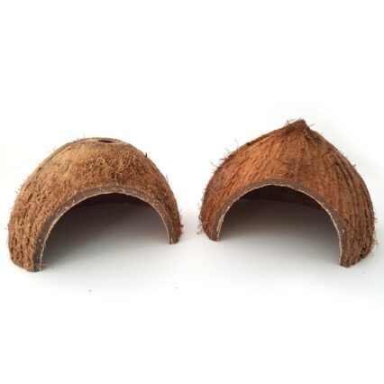 Reptile Retreat: Handmade Coconut Shell Hideout For Turtles, Scorpions, And Lizards