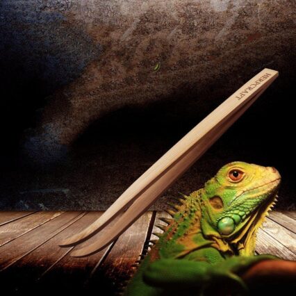 Pet Reptile Bamboo Tweezers Set - Essential Feeding Tools For Crawling Pets