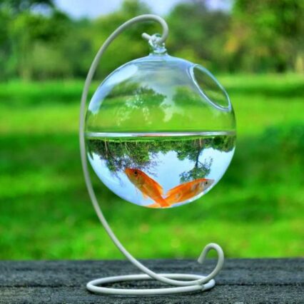 Mini Glass Ball Fish Tank With Hanging Bracket