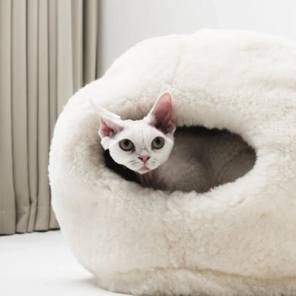 Nest Natural Sheepskin Pet Bed - White