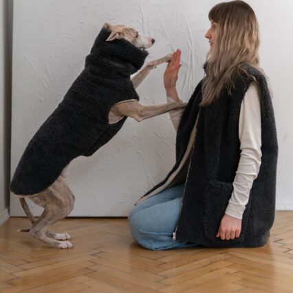 Woolen Dog Vest - Charcoal