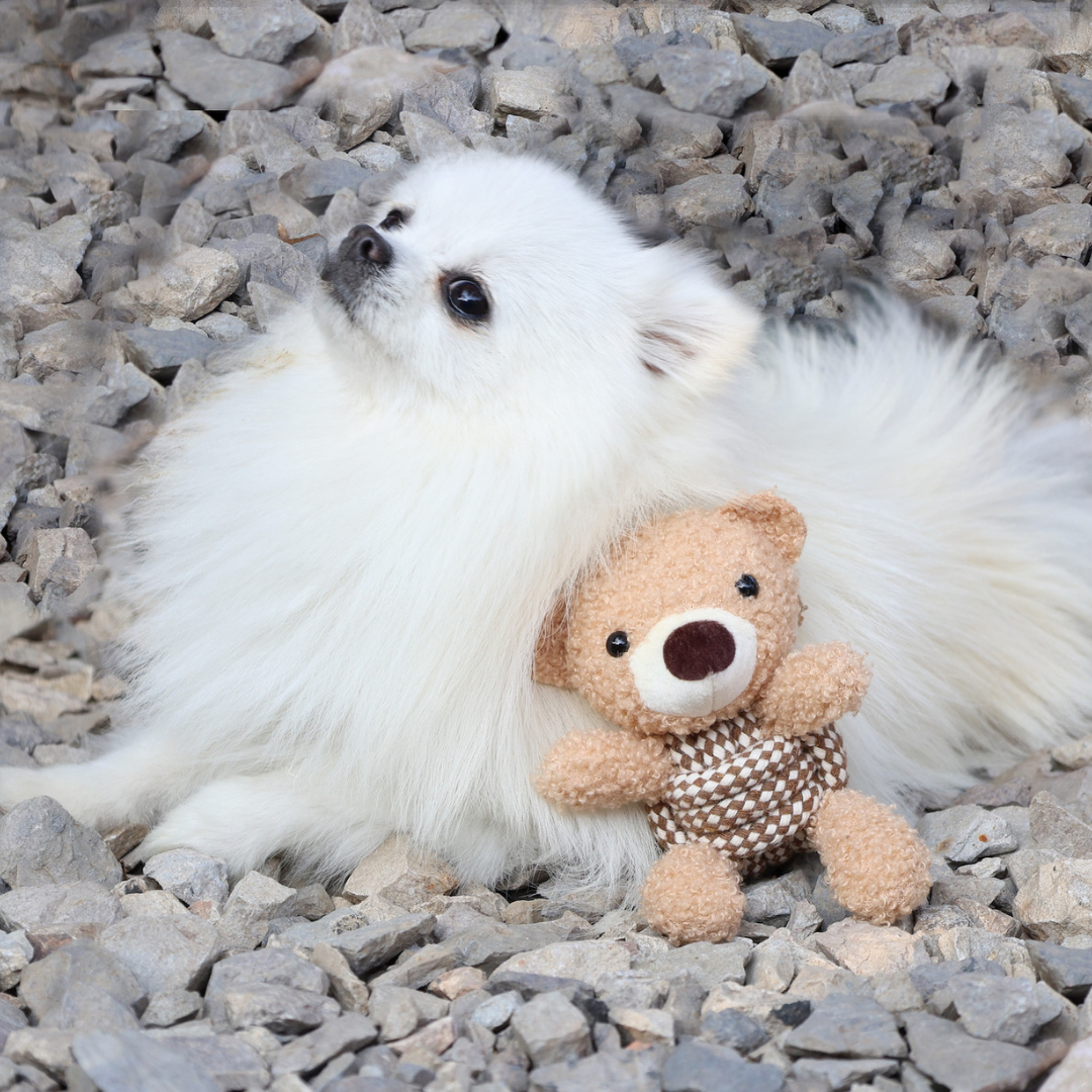 Squeaky Rope Buddies - Image 3