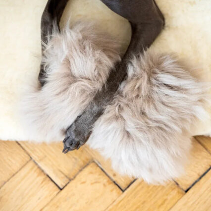 Natural Sheepskin Dog Toy - Bone - Beige