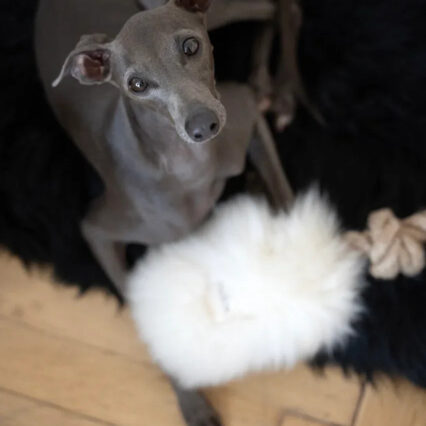 Natural Sheepskin Dog Tug Toy - White