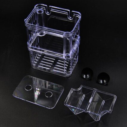 Acrylic Fish Hatchery: A Transparent Sanctuary For Juvenile Fish