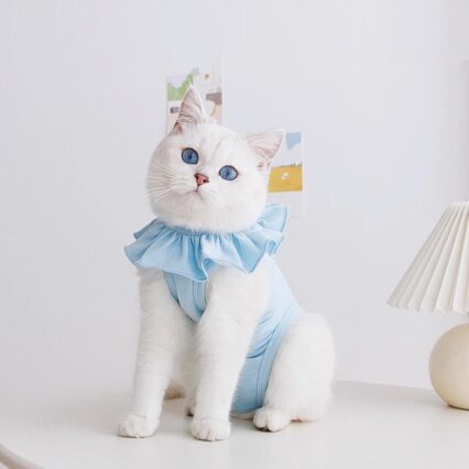 Breathable Cat Recovery Suit with Ruffle Collar