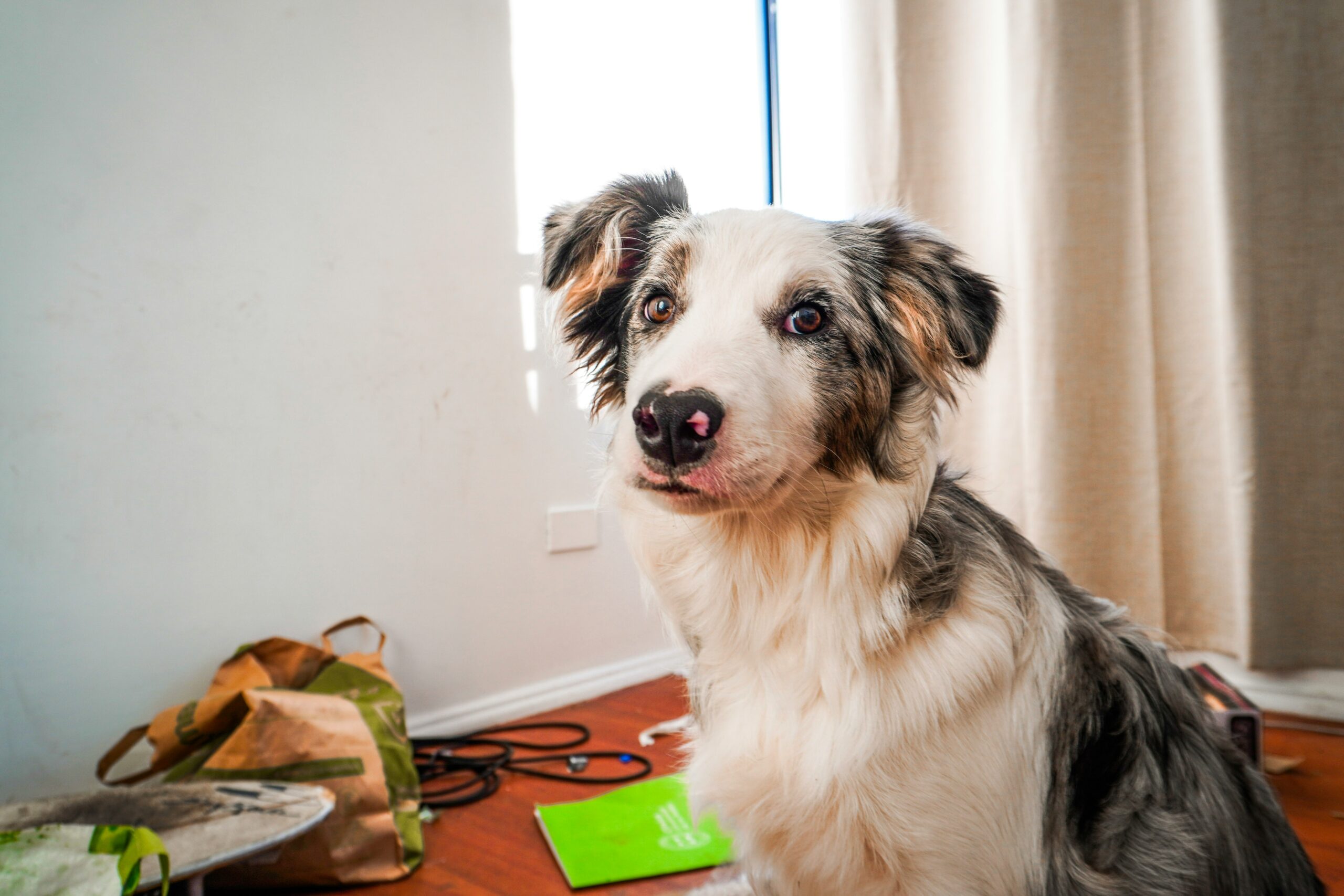 camila-pozas-garcia-sQitpSBAnFw-unsplash