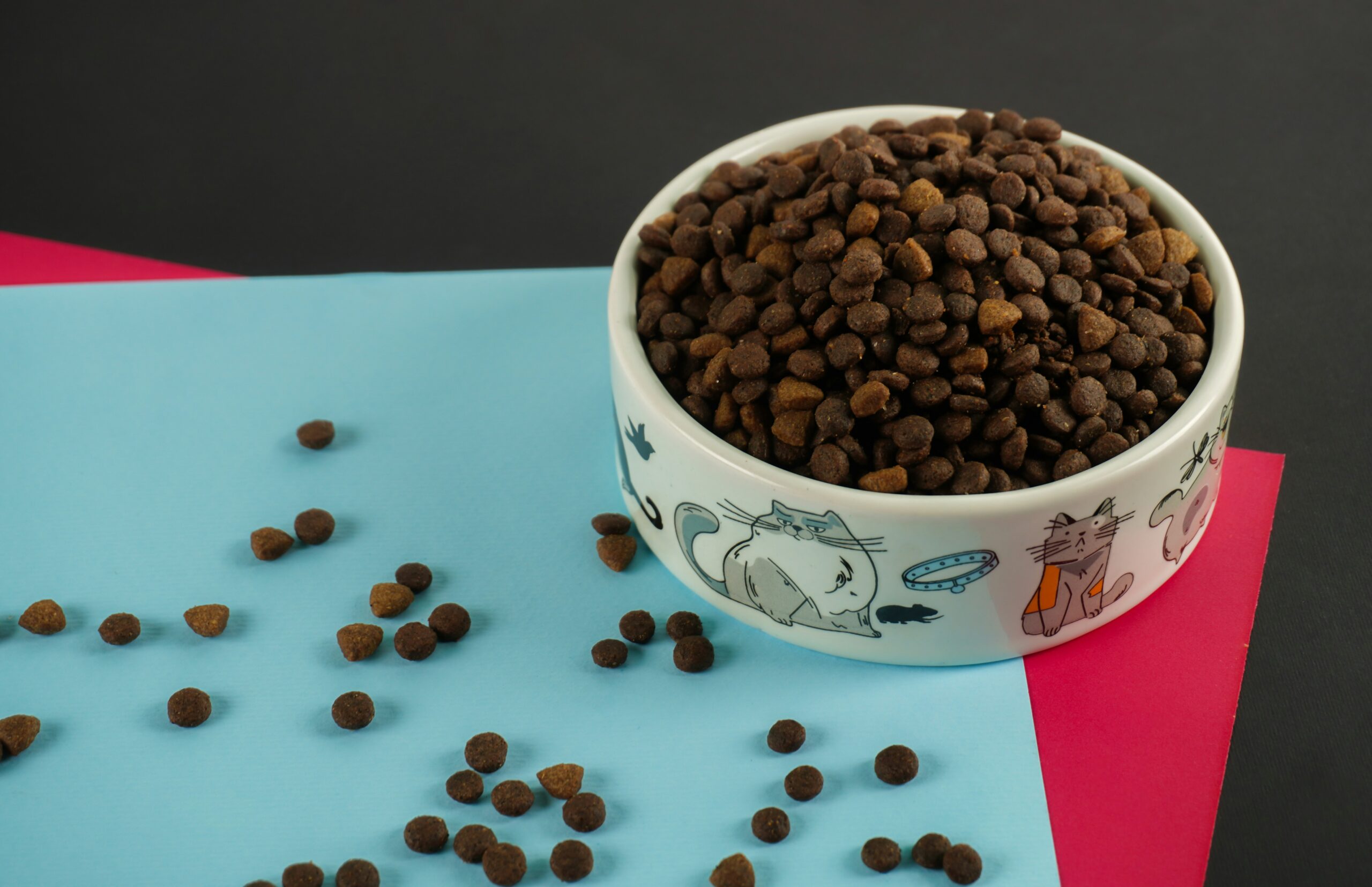 erfan-khoshbin-JJXqZZTbgb0-unsplash