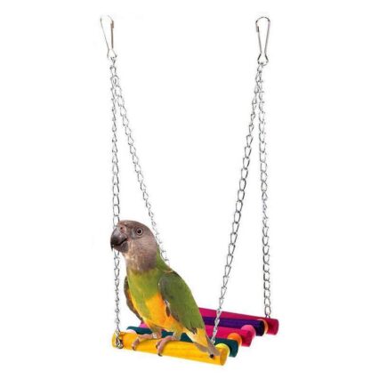 Vibrant Rainbow Bridge Swing Stand Bar Stand Blossom