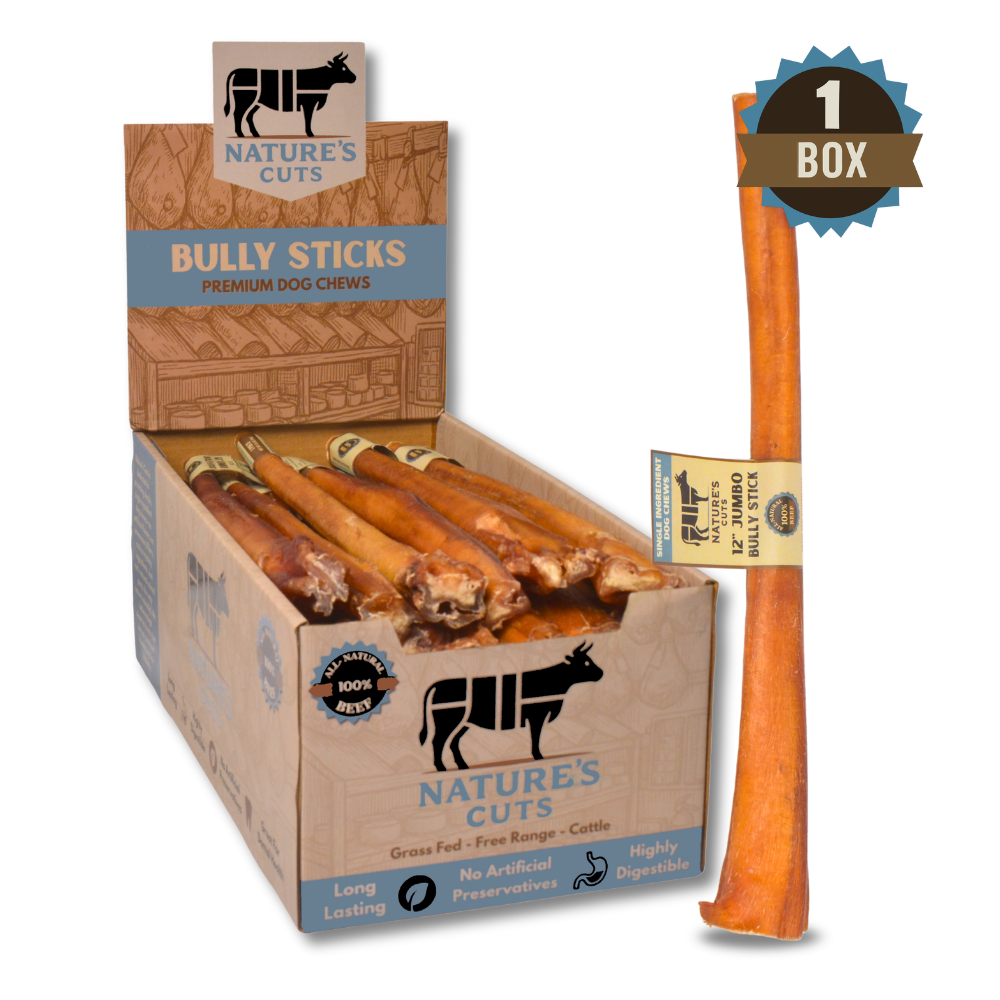 12" Jumbo Bully Sticks Display Box - Image 6