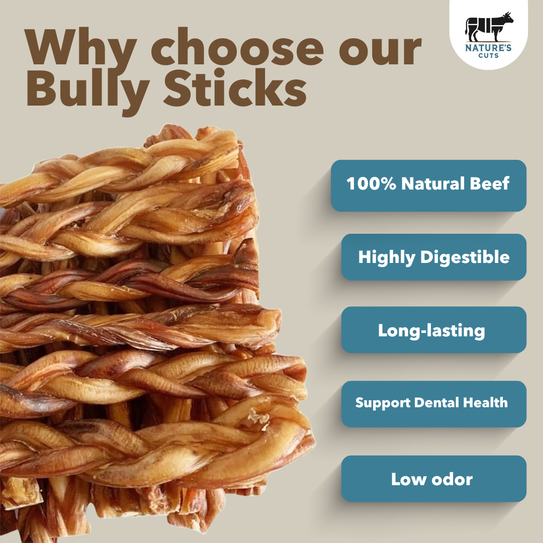 12" MONSTER Braided Bully Sticks - Image 3
