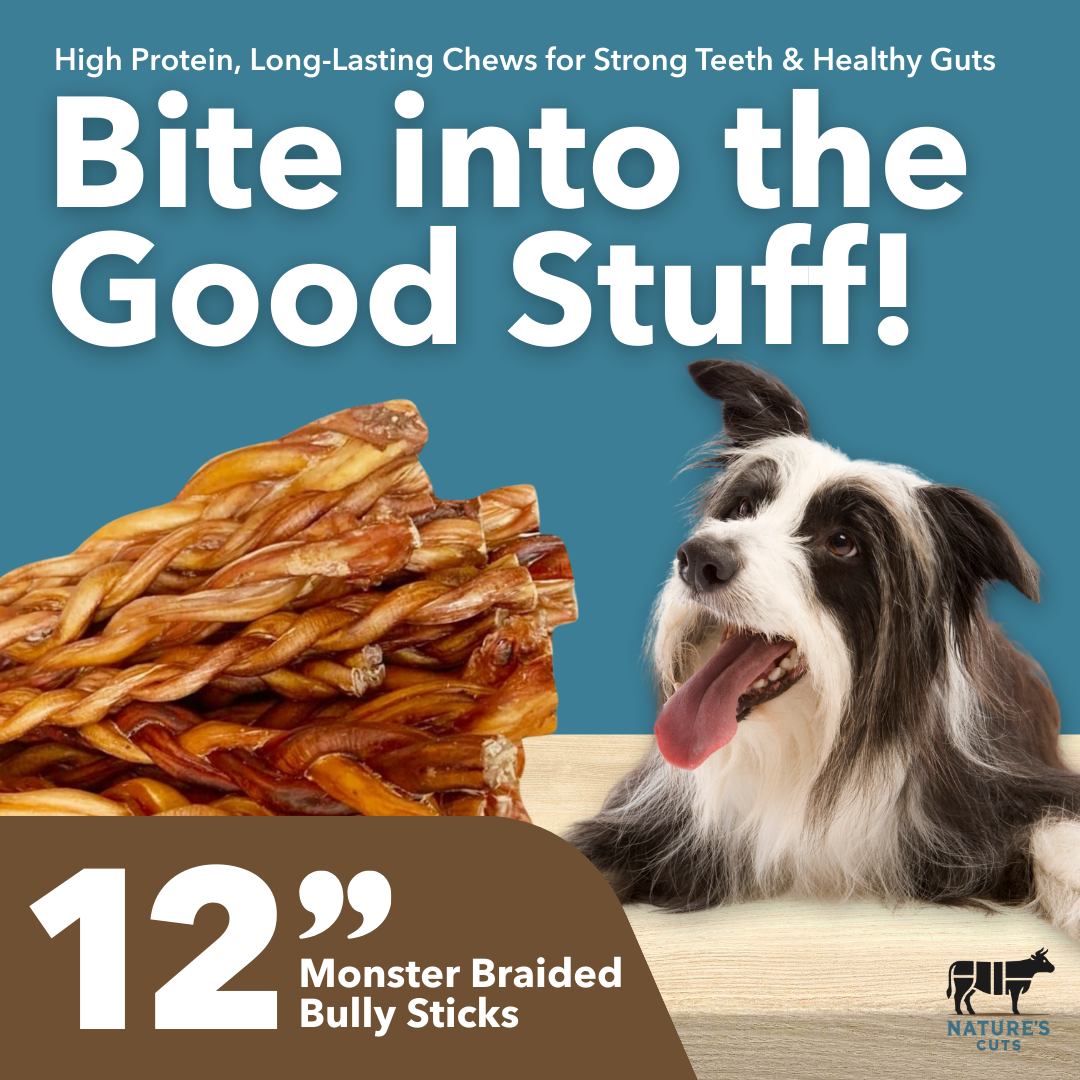 12" MONSTER Braided Bully Sticks - Image 2