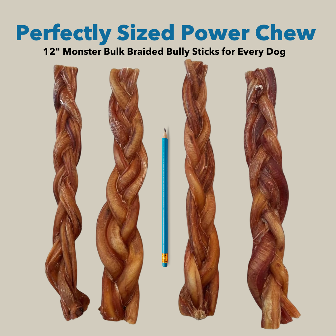12" MONSTER Braided Bully Sticks - Image 5