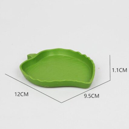 Leafy Reptile Feeding And Water Basin
