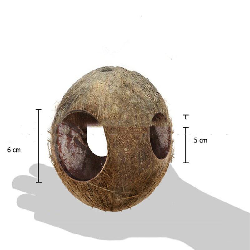 Rustic Retreat Coconut Shell Bird Nest Feeder - Image 5
