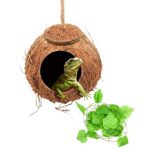 Reptile Adventure Set: Coconut Nest And Vine Climbing Kit - Image 3