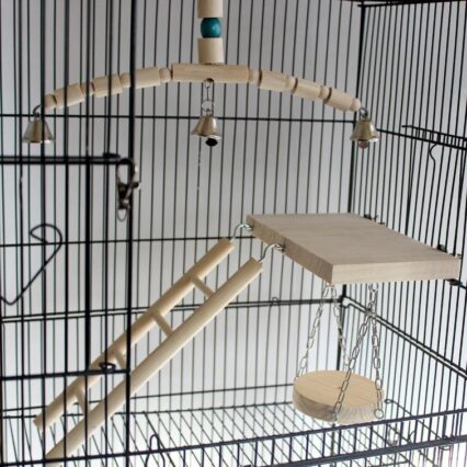 Wooden Jungle Gym Interactive Bird Toy
