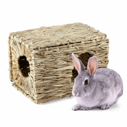 Pet Paradise Grass Haven
