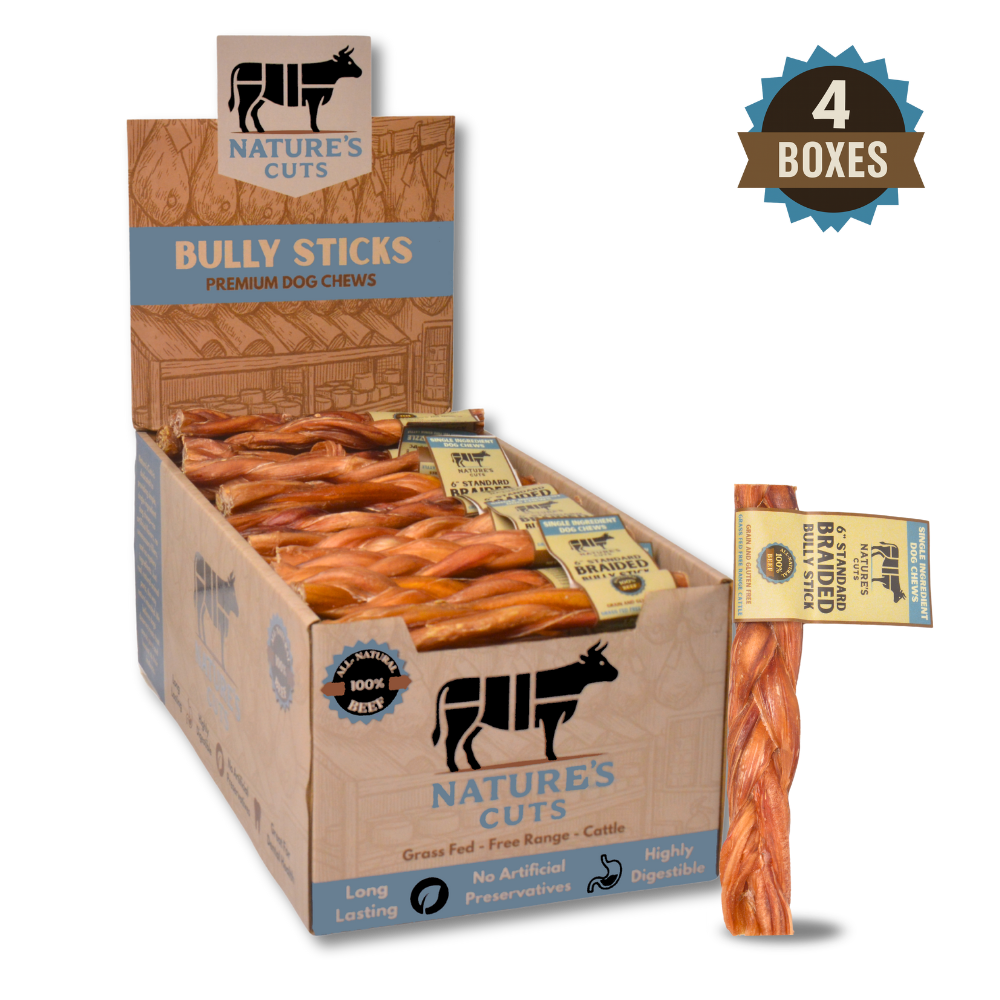 6" Standard Braided Bully Sticks Display Box - Image 7