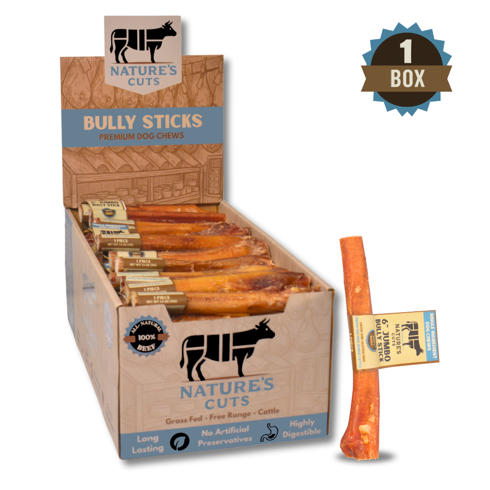 6" Jumbo Bully Sticks Display Box - Image 6