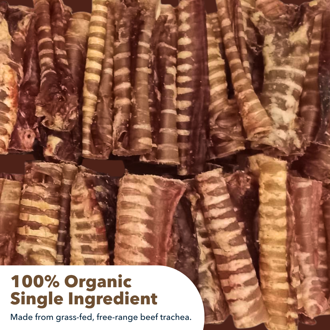 6" Small Bulk Trachea Sticks - Image 3