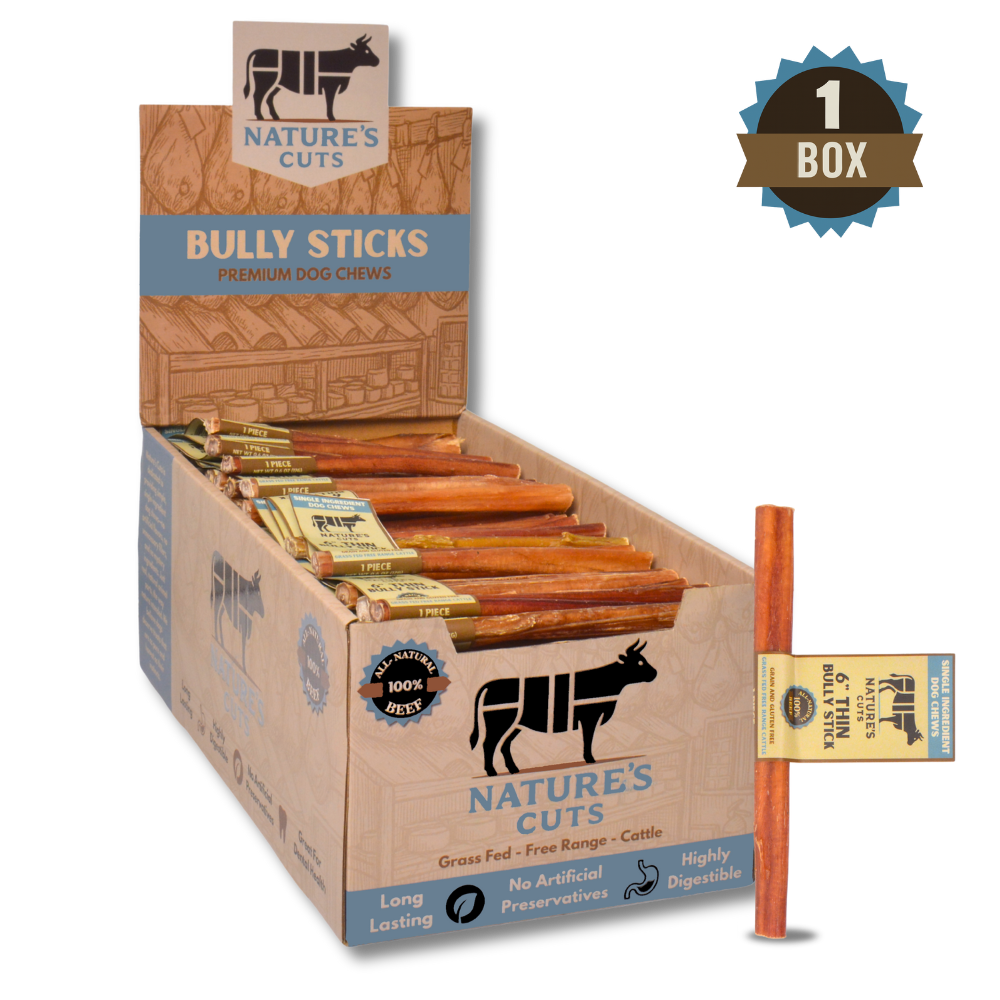 6" Thin Bully Sticks Display Box - Image 6