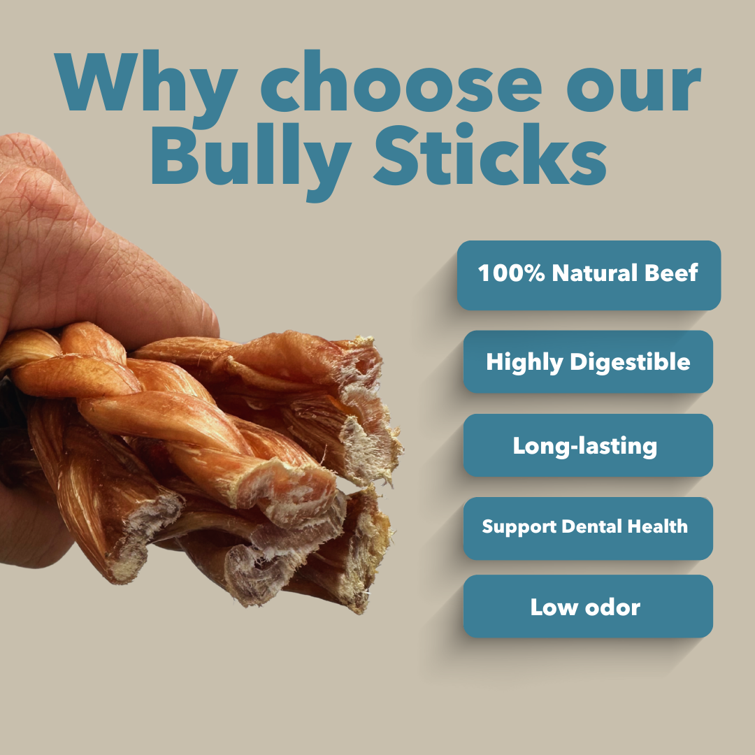 6" Standard Braided Bully Sticks Display Box - Image 4