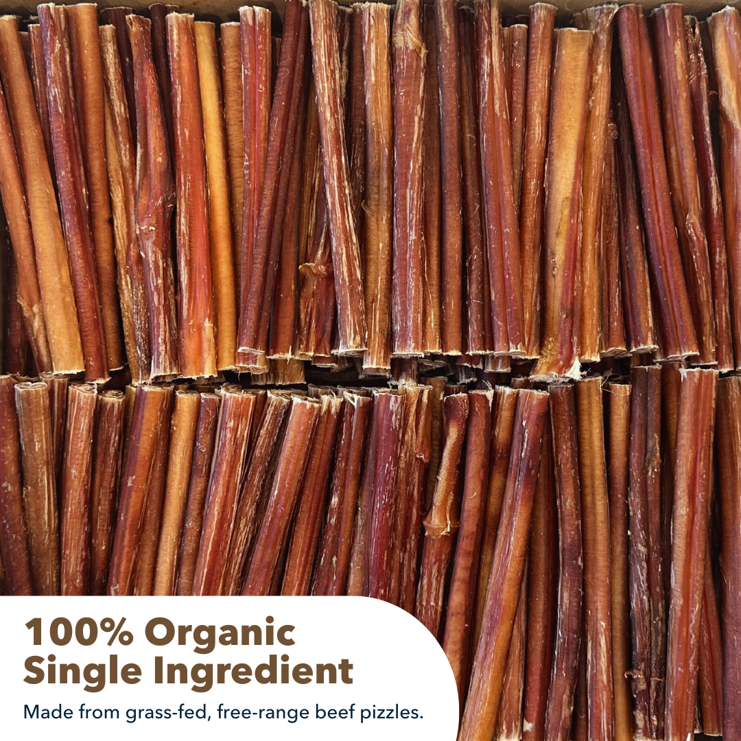 6" Thin Bully Sticks Display Box - Image 5