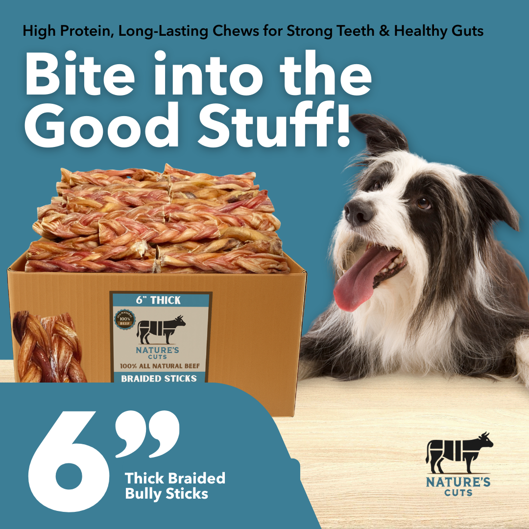 6" Thick Braided Bully Sticks - Image 2
