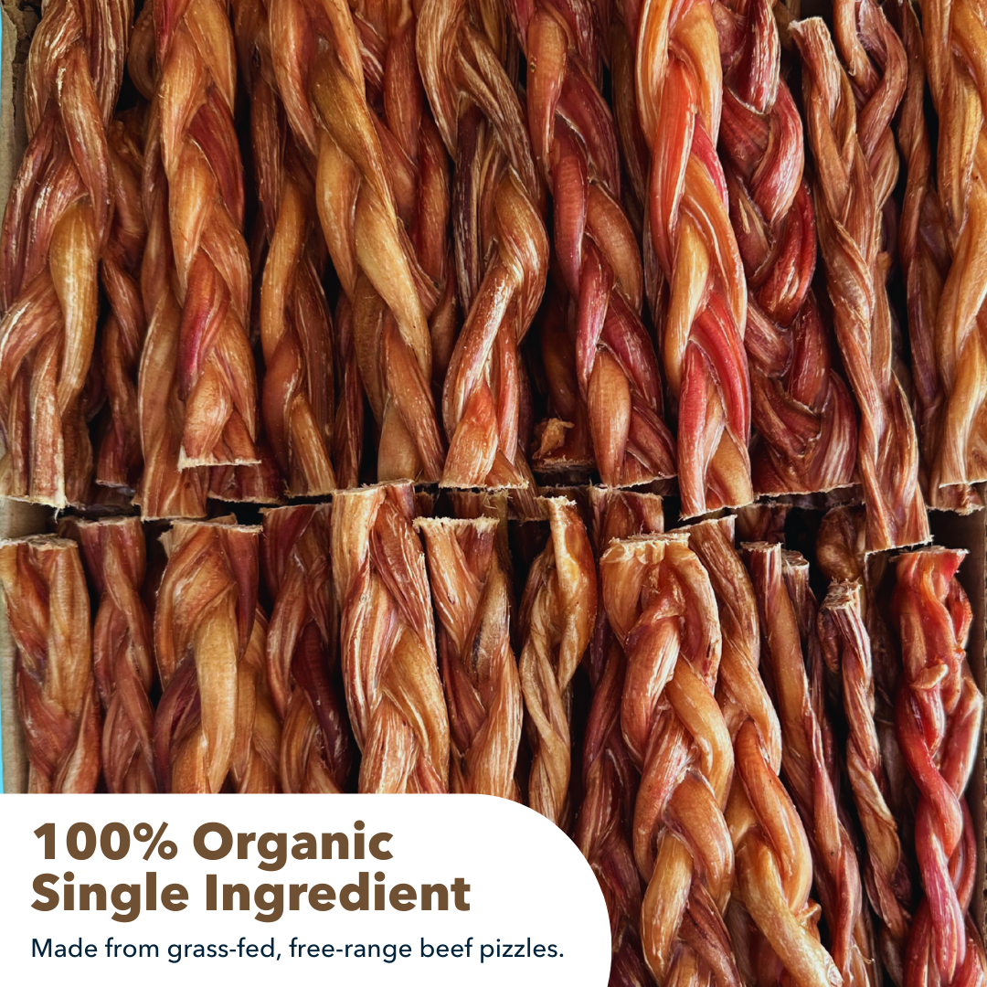 6" Thick Braided Bully Sticks - Image 4