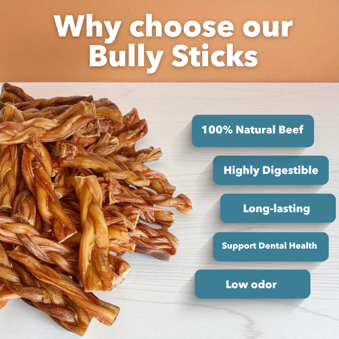 6" Thick Braided Bully Sticks - Image 3