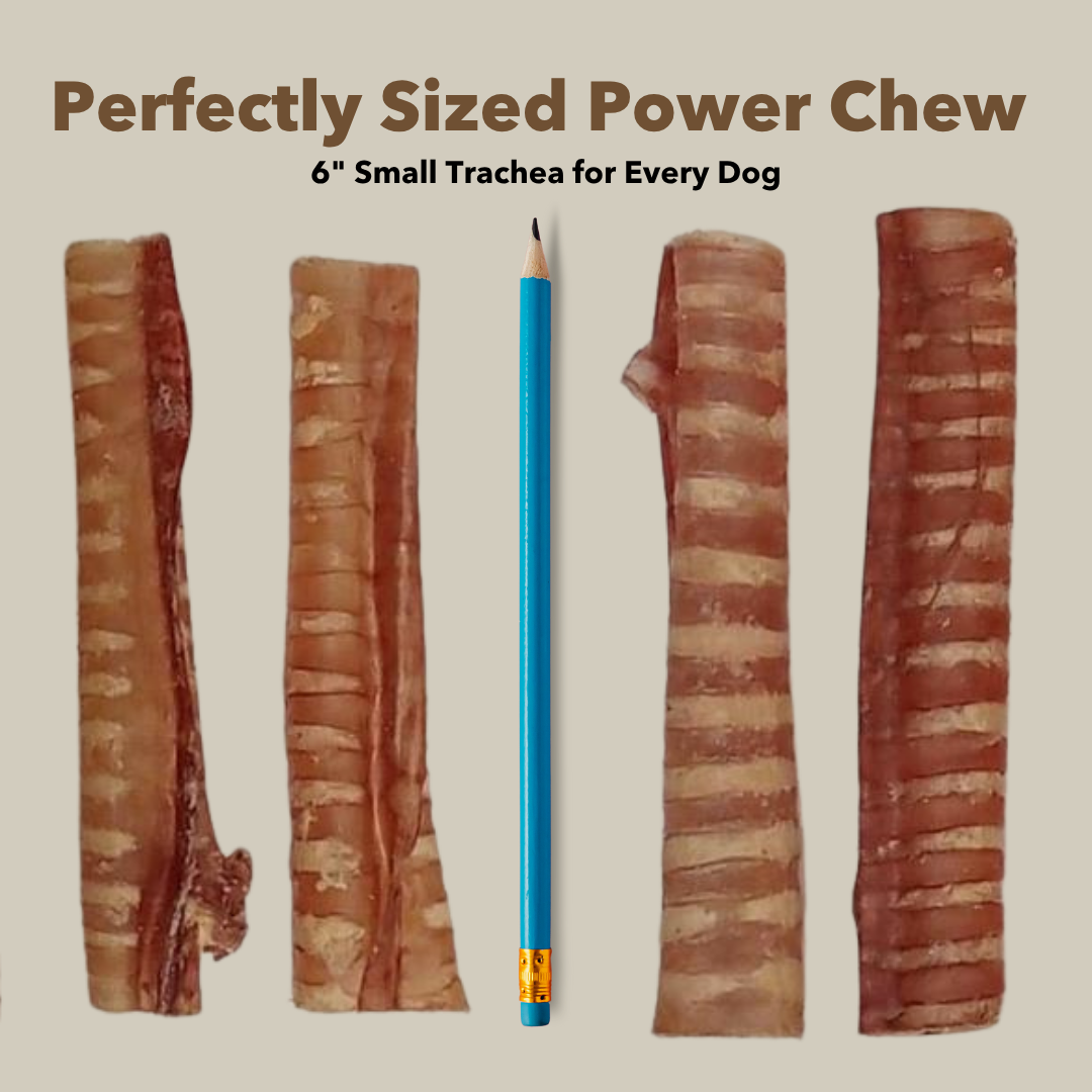 6" Small Bulk Trachea Sticks - Image 4