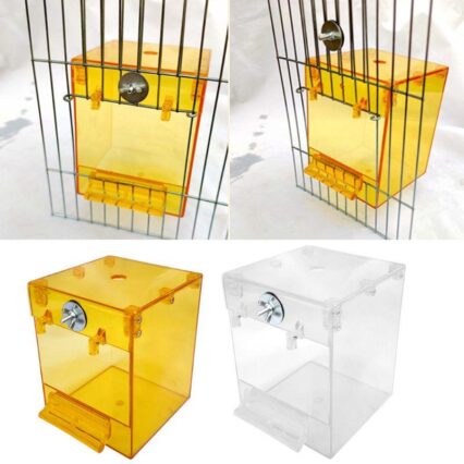 Transparent Square Acrylic Bird Bath: A Soothing Oasis For Your Feathered Friends