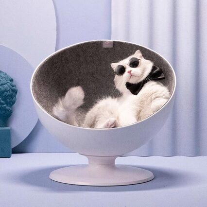The Ultimate Feline Retreat
