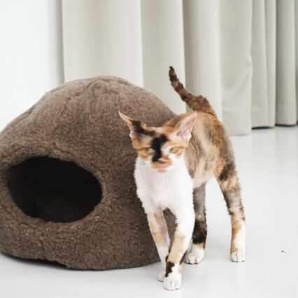 Nest Natural Sheepskin Pet Bed - Beige