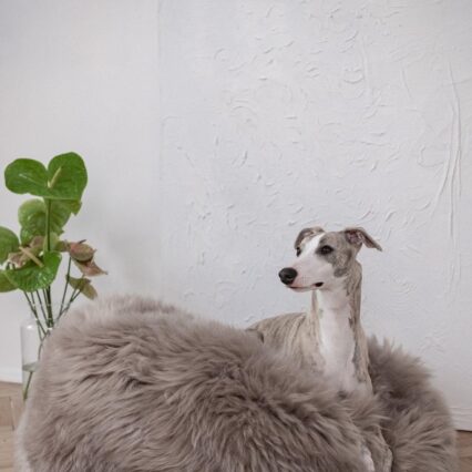 Oval Natural Sheepskin Pet Bed - Greige