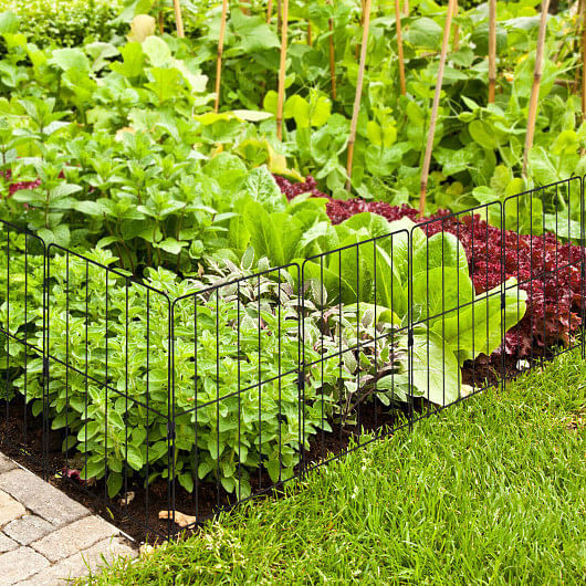 25 Pack Rustproof Decorative Garden Fence Set for Dog Flower bed - Image 3