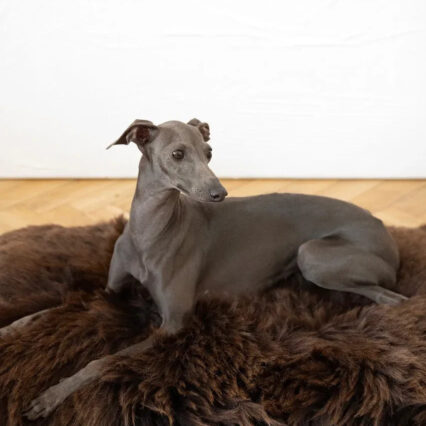 Square or Rectangular Natural Sheepskin Pet Mat - Brown