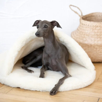 Natural Wool Pet Cave - White