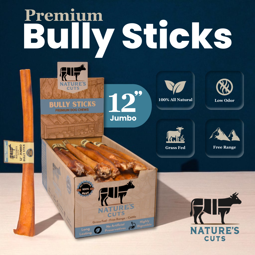 12" Jumbo Bully Sticks Display Box - Image 2