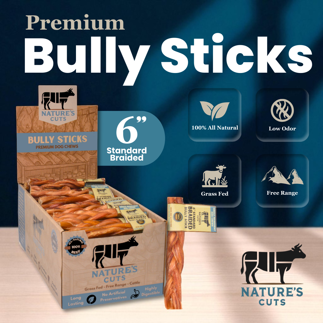 6" Standard Braided Bully Sticks Display Box - Image 2