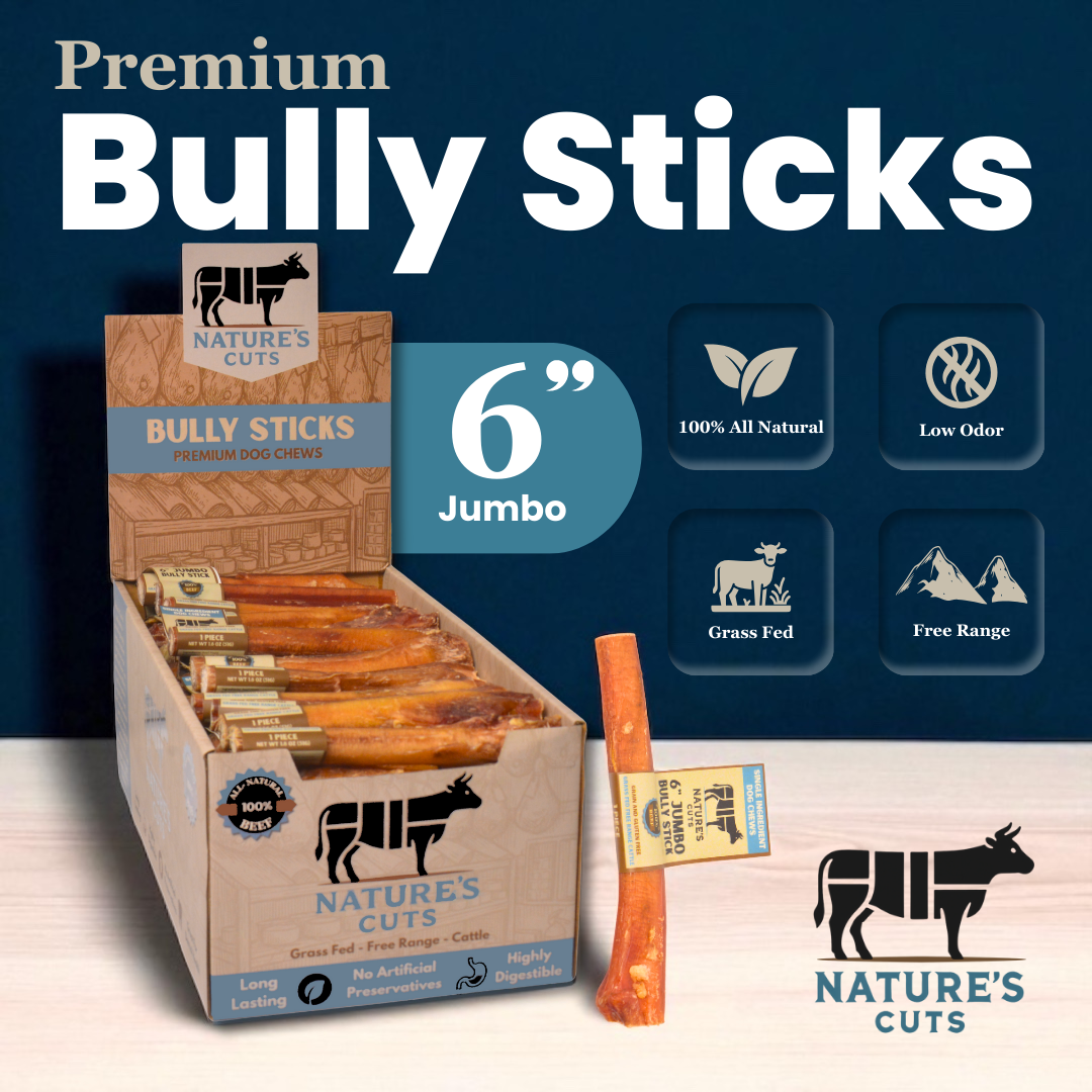 6" Jumbo Bully Sticks Display Box - Image 2
