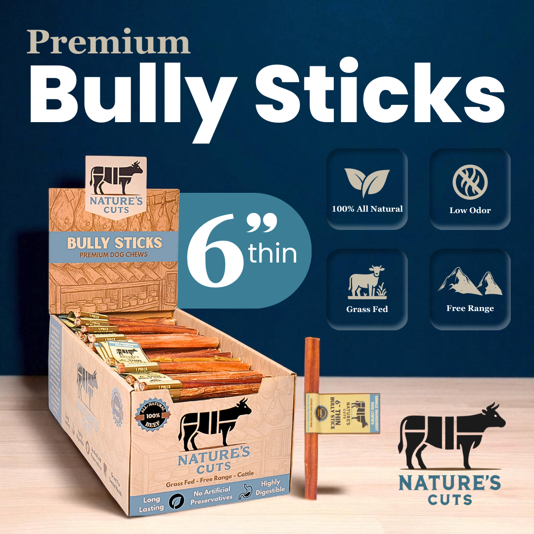 6" Thin Bully Sticks Display Box - Image 2