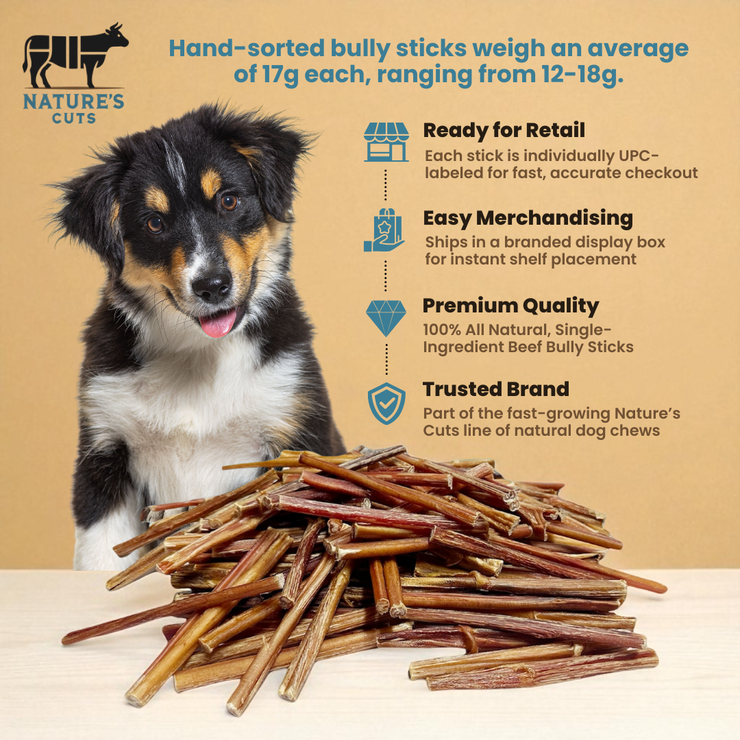 6" Thin Bully Sticks Display Box - Image 3