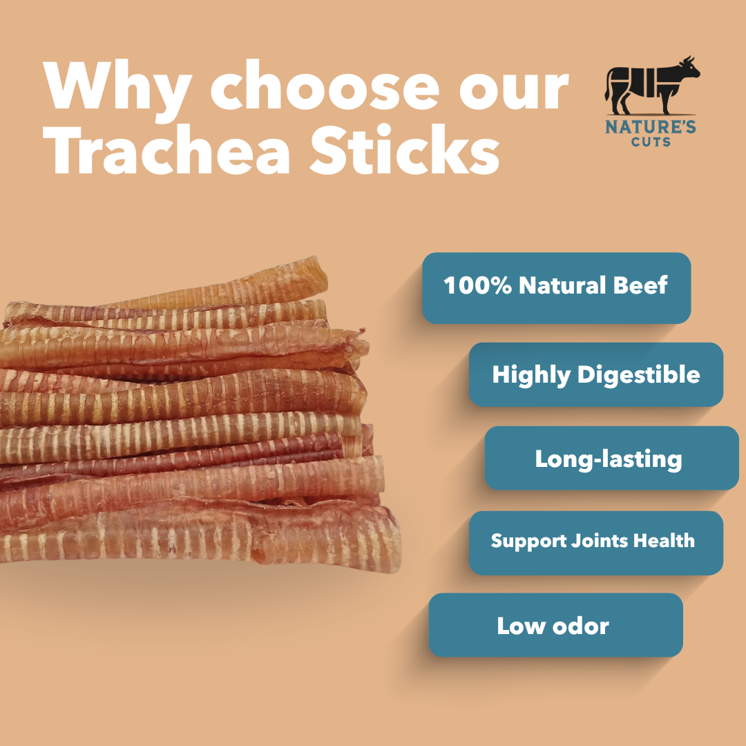 6" Small Bulk Trachea Sticks - Image 5